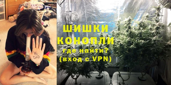 ГАЛЛЮЦИНОГЕННЫЕ ГРИБЫ Алзамай