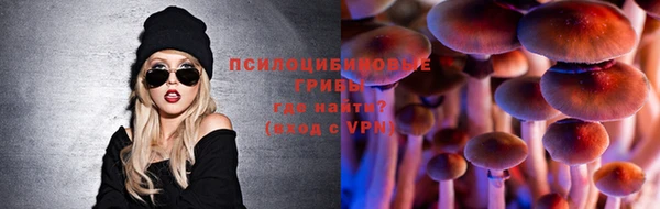 ГАЛЛЮЦИНОГЕННЫЕ ГРИБЫ Алзамай