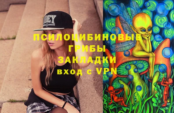 бошки Алексеевка