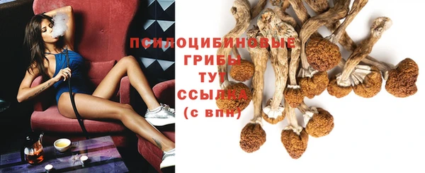 бошки Алексеевка