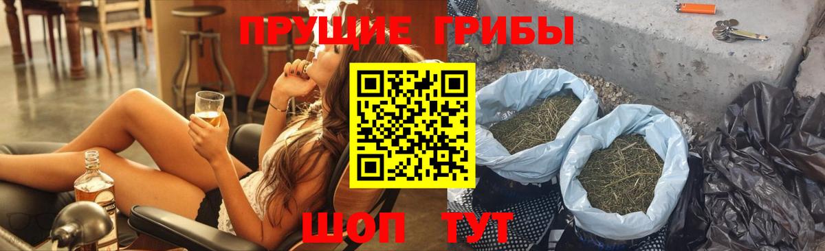 Псилоцибиновые грибы Magic Shrooms  Вход с VPN  где найти наркотики  Кольчугино  Галлюциногенные грибы GOLDEN TEACHER 